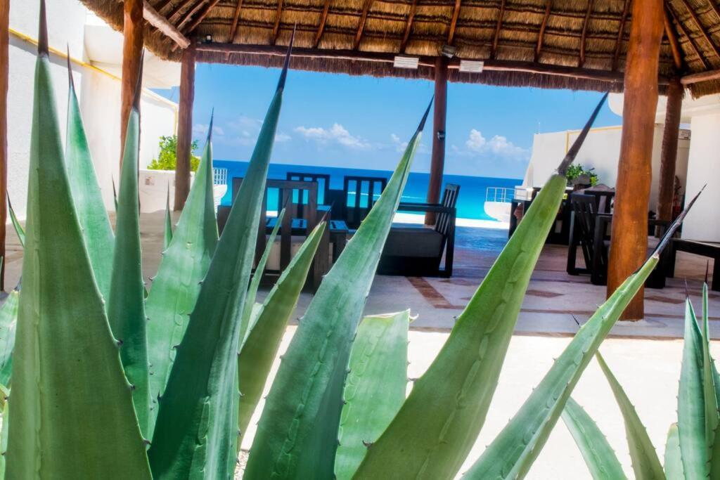 Cancun Marlin 32 Exterior foto
